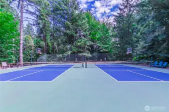 Pickle Ball Courts