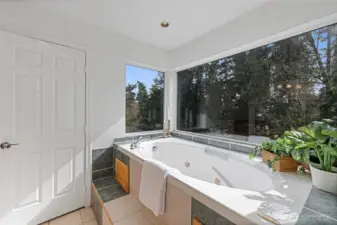 Primary bath has a soaking tub with a view!