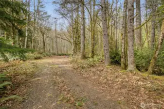 Approved site plan available showing driveway, building envelope, and drainage layout.