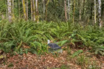 County stormwater requirements have been completed with drainage installed