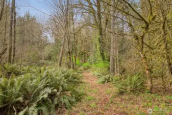 Trail to back of property!