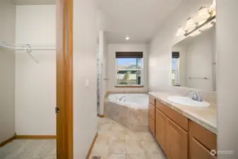 Primary bath w/ walk-in closet, dual sink basins, jetted soaking tub and separate glass shower