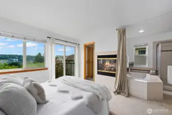 Primary Suite with custom walk-in closet, double sided gas fireplace, and spa-like ensuite.