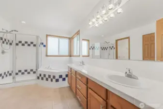 Master bathroom has jetted tub with heater.