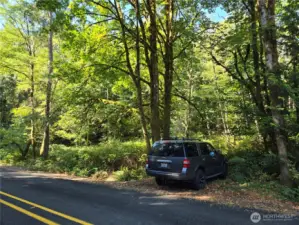 park here and walk