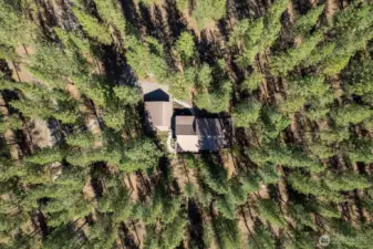 Well sited home in a sea of healthy trees is the ultimate serenity and peaceful quiet setting.