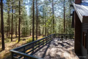 East side of Home has a wood deck off of the Kitchen for Easy Summer dinner outdoors.