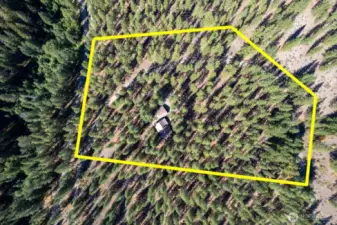 Privately owned 5 Acres that borders Thousands of acres of Forest land that is part of an Original Homestead entry survey from over 100 years ago. Well maintained acreage has low maintenance and healthy trees landscape.