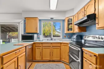 Window in kitchen faces out to backyard