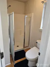 Part of primary bathroom shower .All bathrooms have bidets