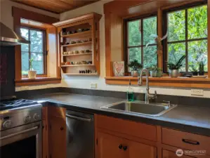 A chef's kitchen with a GE Monogram range.