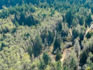 Aerial of the site. Quiet, secluded location adjacent to designated forest land tract.
