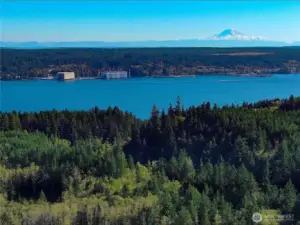 Site is the light green area adjacent to a ravine with the large fir trees.