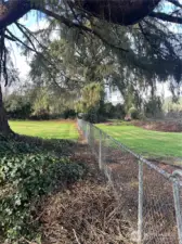 View from deck looking to end of propety