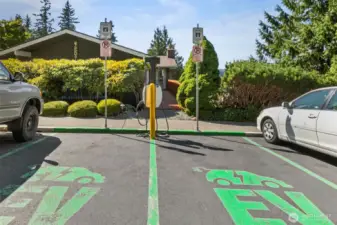 Electrical Charging
