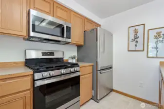 Stainless Appliances