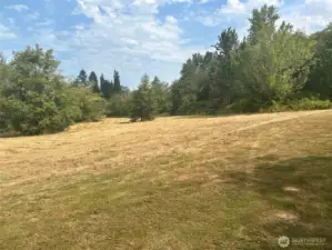 Field to the North