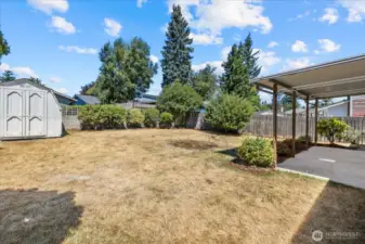 Large backyard shed provides ample extra storage