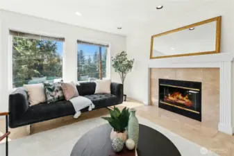 gas fireplace in livingroom