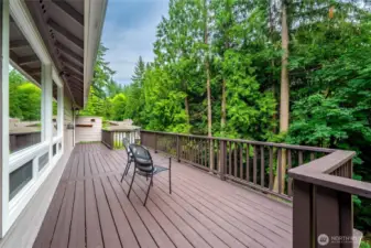 The tall evergreens are the perfect backdrop to the expansive back deck; a place to host, gather and relax.