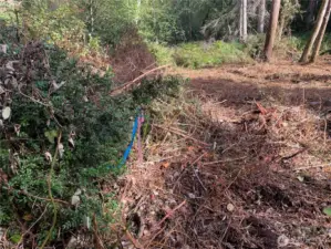 Property had a wetland delineation back in 2023 by Habitat Technologies