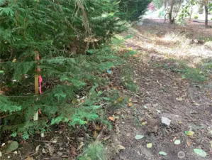 Corner marker is located just a few feet off the edge of the trail.