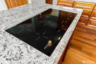 Induction cooktop.