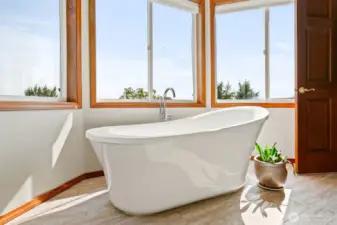 Luxurious soaking tub.