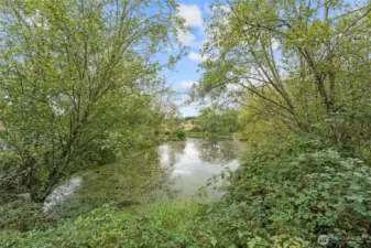 Spring-fed pond stocked with fish: peaceful, private, and picture-perfect.