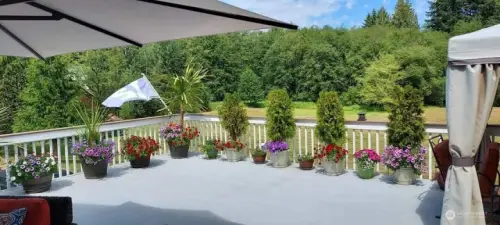 Patio Out Kitchen Door