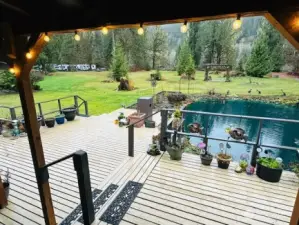 Back deck patio area