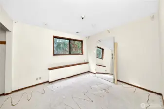 Lower level bedroom