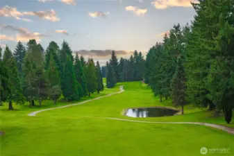 Look out to the 9th tee!