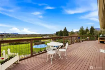 Entertainment sized deck is large enough for the neighborhood & more!!