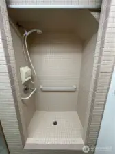 Shower Main Level