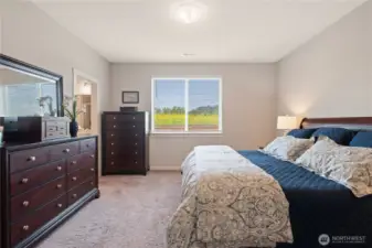 Primary bedroom with walk-in closet