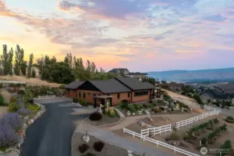 Welcome to the Vineyard Estate
