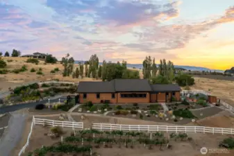 Estate hobby vineyard