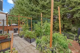Large planting boxes throughout the backyard