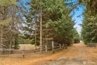 Trees cleared for direct access off Airport Road or use this shared driveway & create an additional access to property.