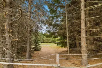 Fencing currently runs across new driveway.