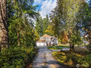 Private Drive through the Trees