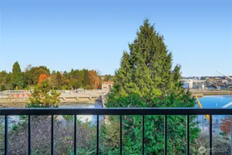 Beautiful views from the patio