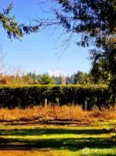 Gorgeous view from the property of Mt Rainier in the distance.