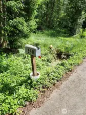 There is a mailbox at one corner of the property and a fire hydrant!