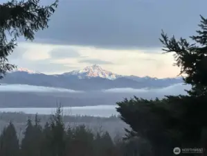 View in the winter