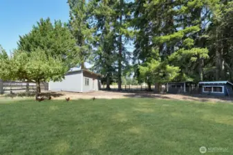Exterior of gym facing east, chicken yard, chicken coops and gazebo on left, grass has been retouched
