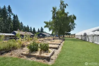 South facing view of raised garden beds with home on left and 30 x 96 green house on right, grass has been retouched