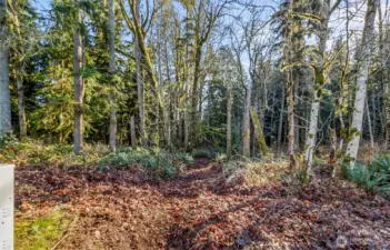 Keep some trees for privacy if you choose