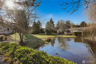 View from the backyard bench overlooking the community pond, greenbelt, trail and outlet creek